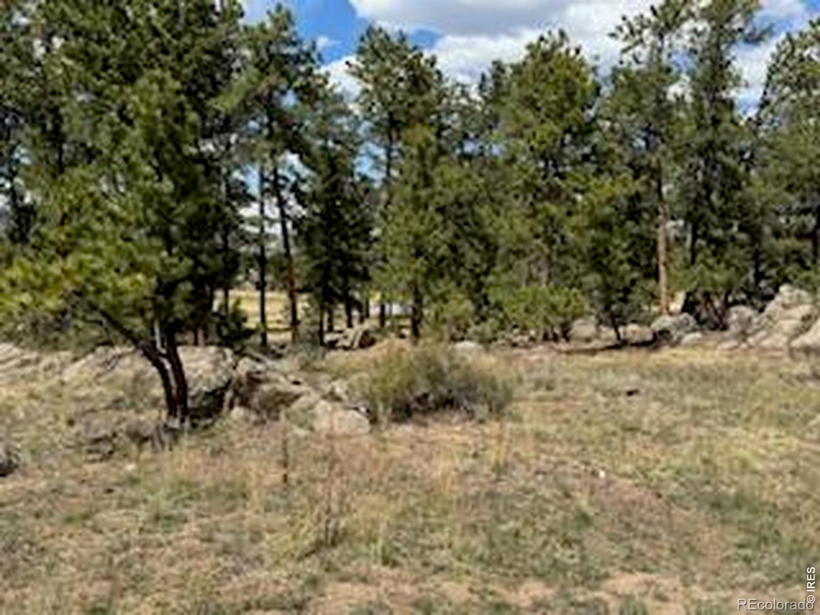 MLS Image #22 for 2215  fox acres drive,red feather lakes, Colorado