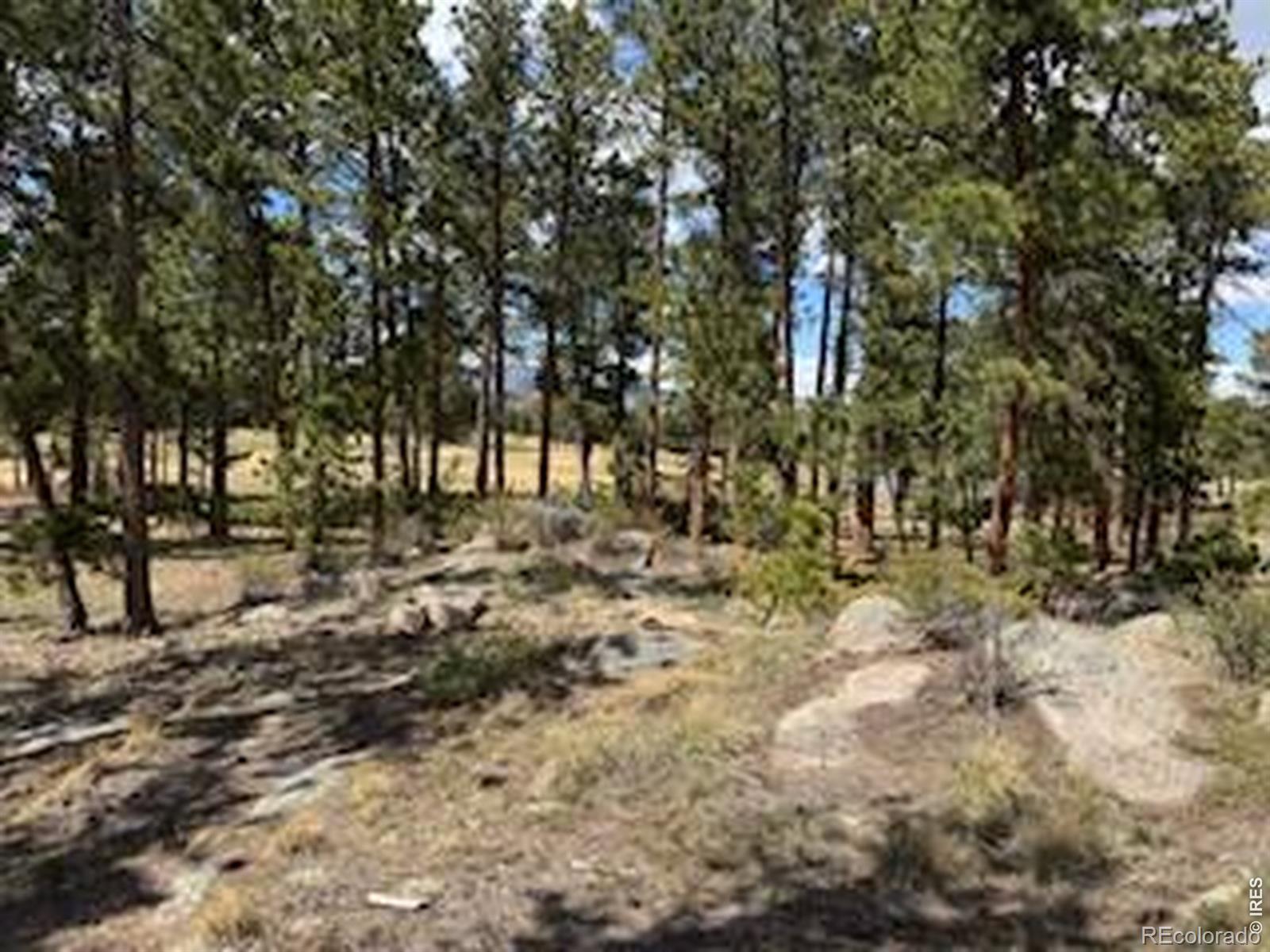 MLS Image #23 for 2215  fox acres drive,red feather lakes, Colorado
