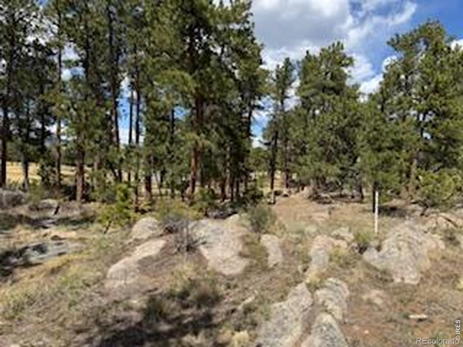 MLS Image #24 for 2215  fox acres drive,red feather lakes, Colorado