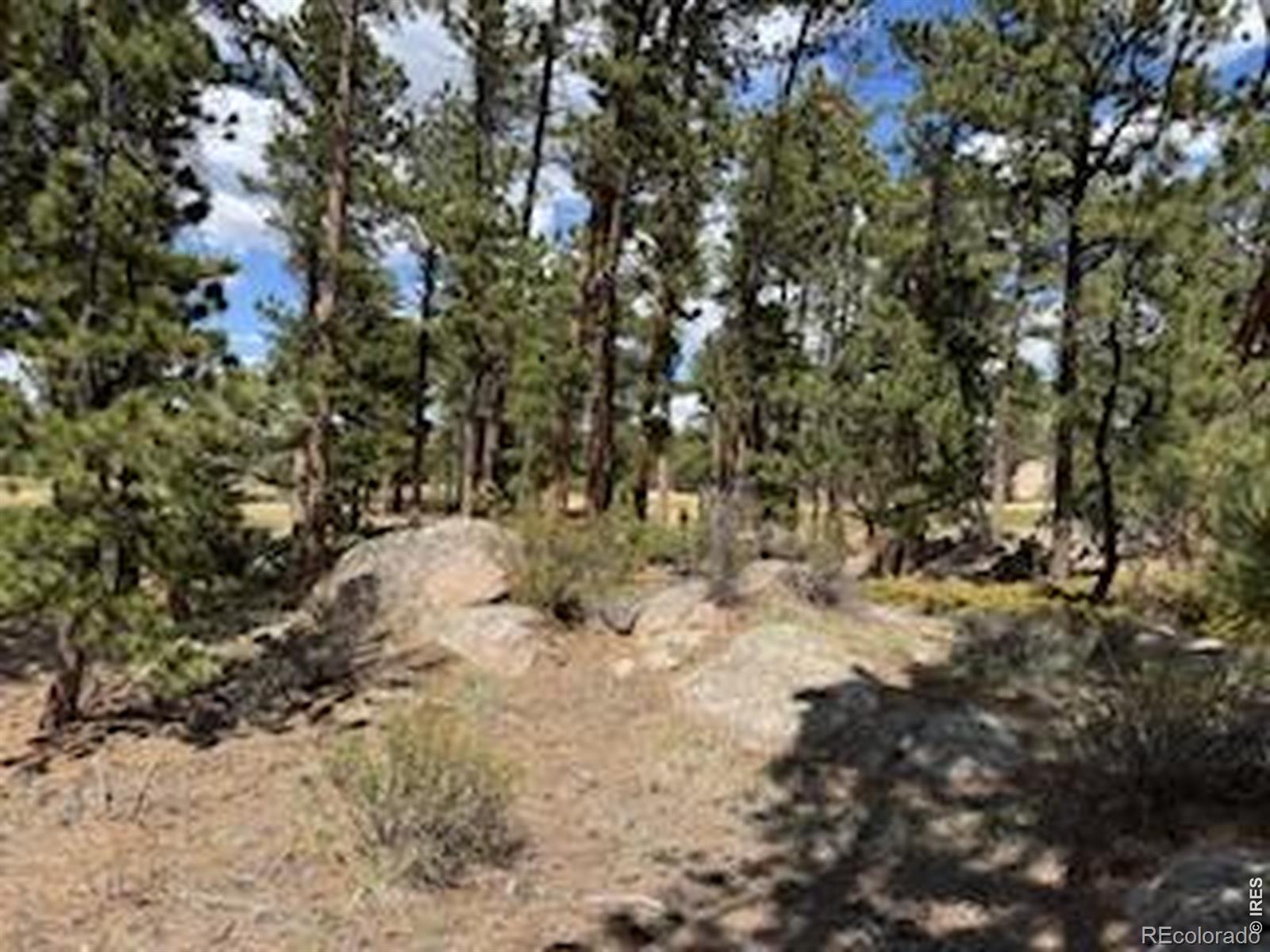 MLS Image #25 for 2215  fox acres drive,red feather lakes, Colorado