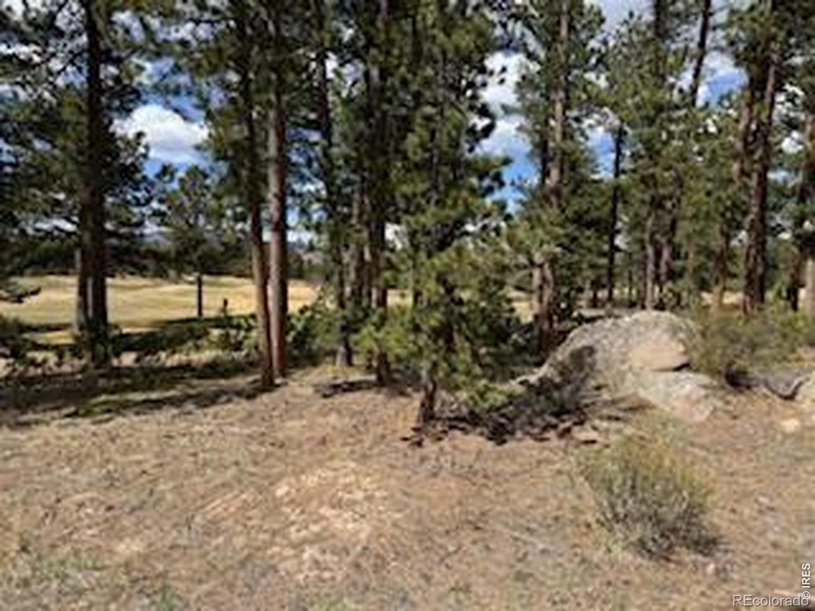 MLS Image #26 for 2215  fox acres drive,red feather lakes, Colorado