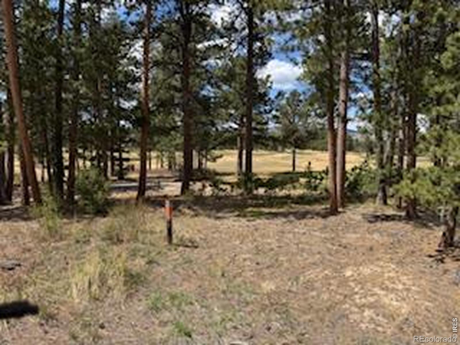 MLS Image #27 for 2215  fox acres drive,red feather lakes, Colorado