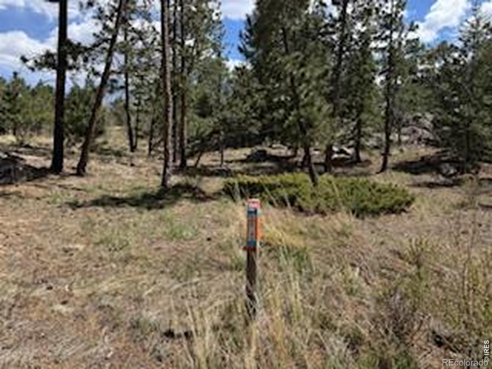 MLS Image #28 for 2215  fox acres drive,red feather lakes, Colorado