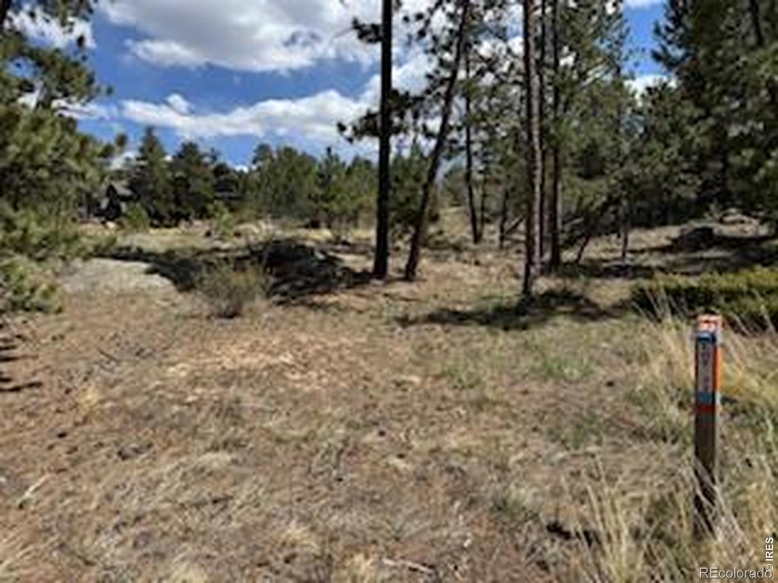 MLS Image #29 for 2215  fox acres drive,red feather lakes, Colorado