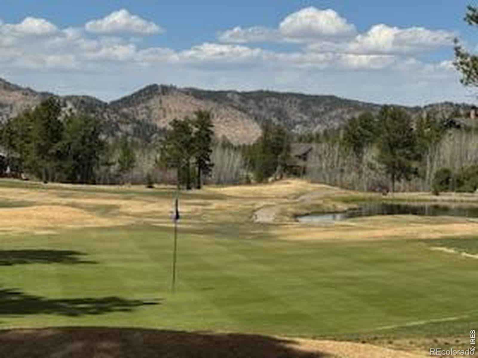 MLS Image #3 for 2215  fox acres drive,red feather lakes, Colorado