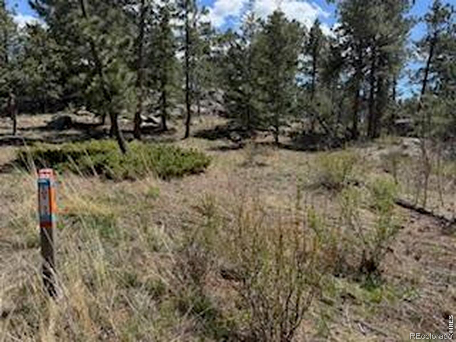 MLS Image #30 for 2215  fox acres drive,red feather lakes, Colorado