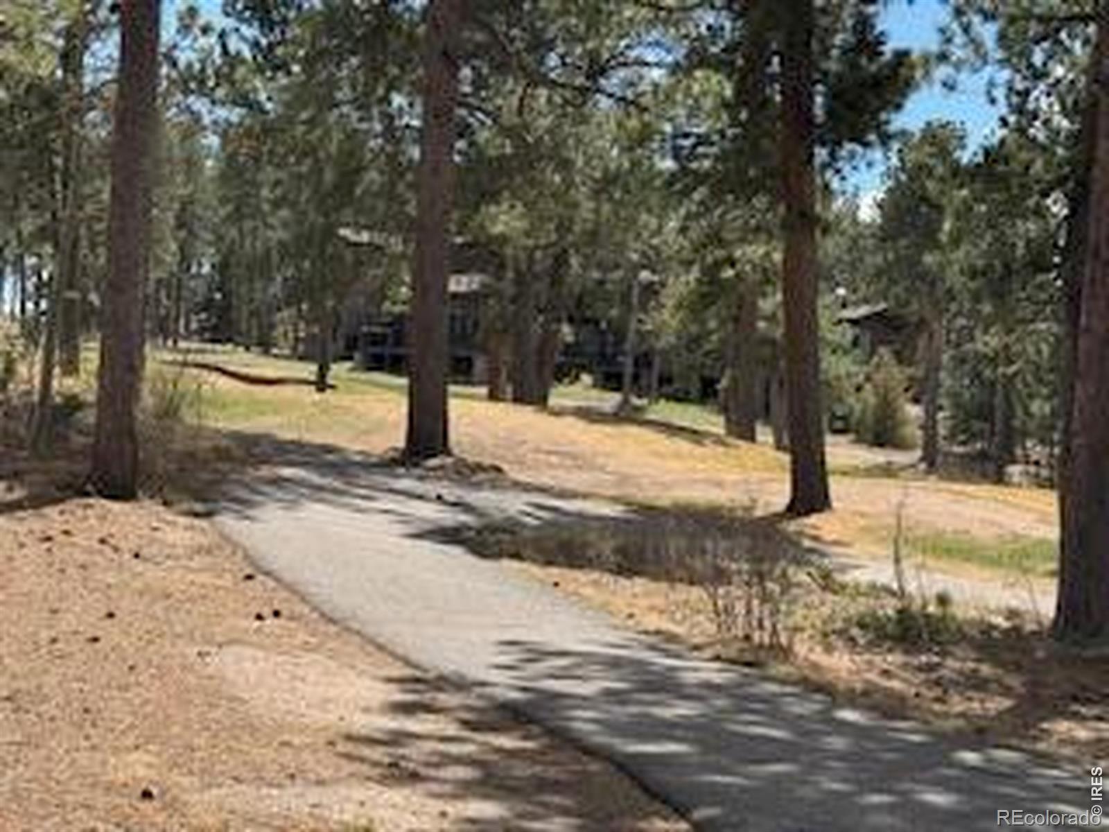 MLS Image #32 for 2215  fox acres drive,red feather lakes, Colorado