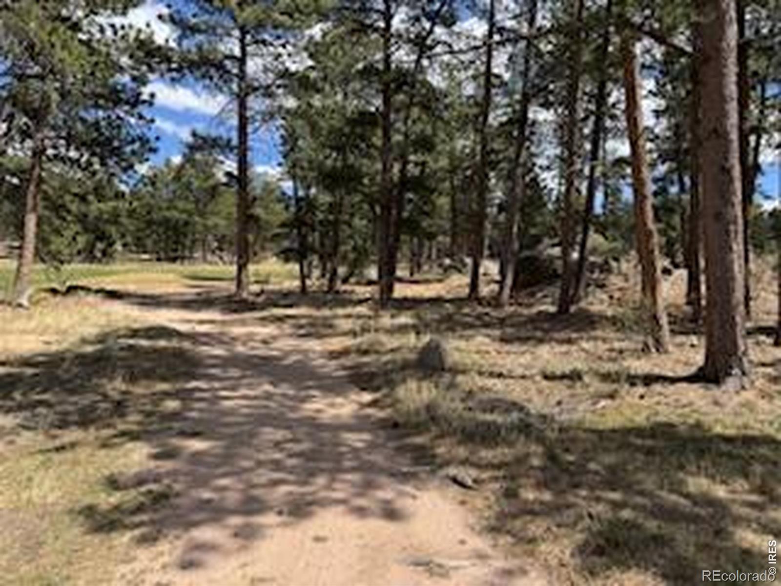 MLS Image #36 for 2215  fox acres drive,red feather lakes, Colorado