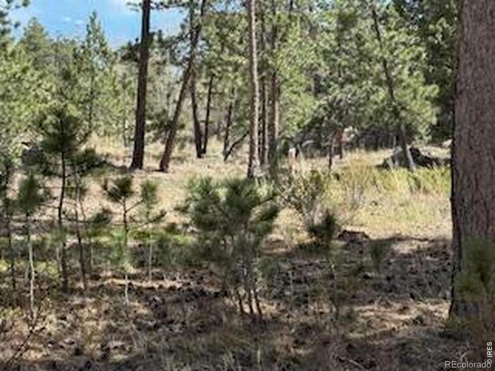 MLS Image #38 for 2215  fox acres drive,red feather lakes, Colorado