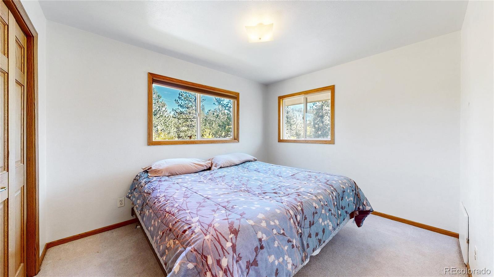 MLS Image #14 for 92  four bits street,bailey, Colorado