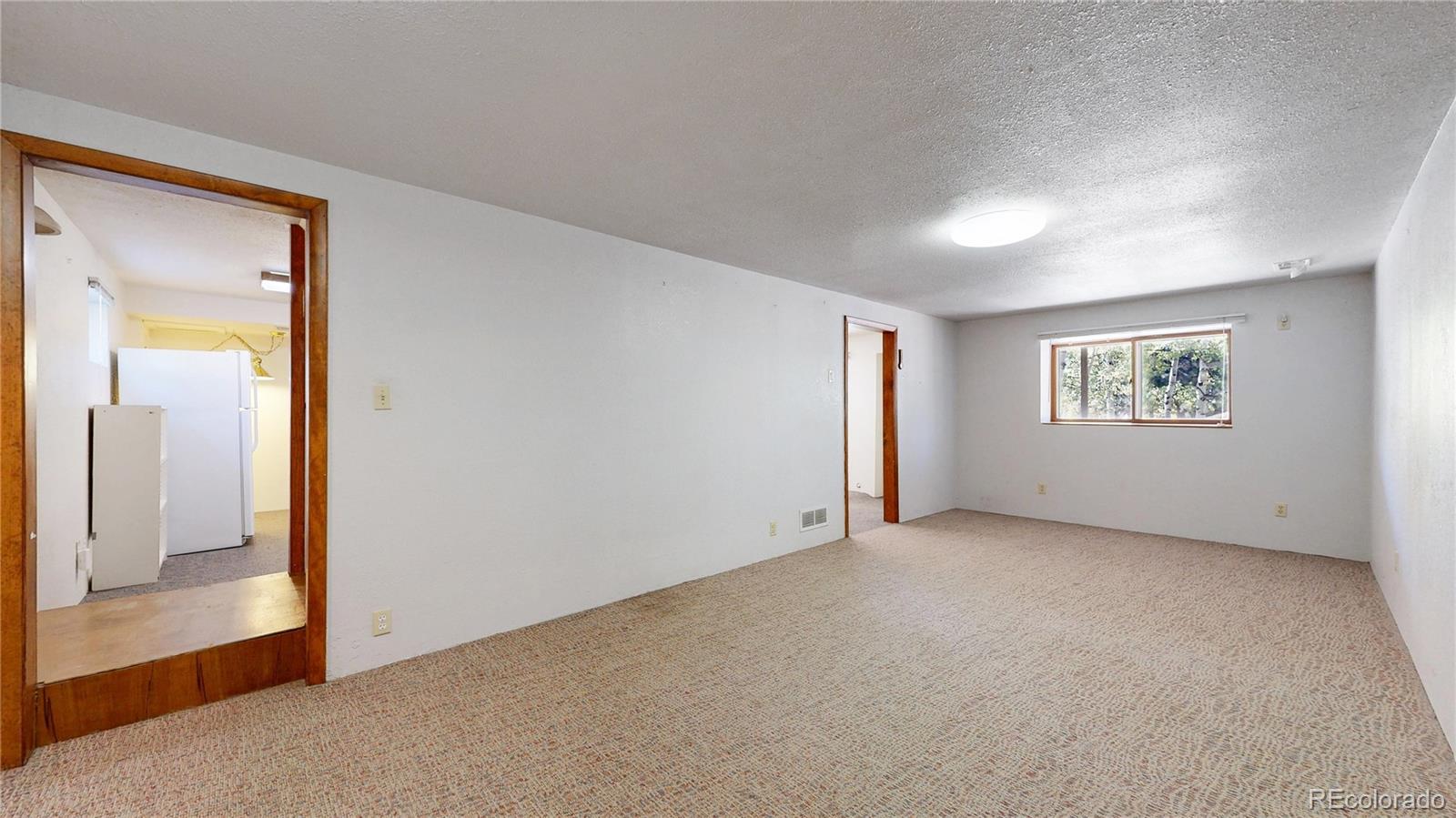MLS Image #18 for 92  four bits street,bailey, Colorado