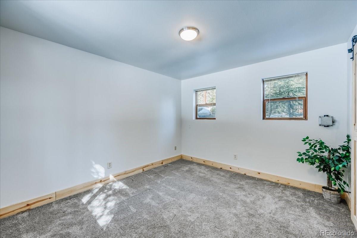 MLS Image #10 for 796  valley of the sun drive,fairplay, Colorado