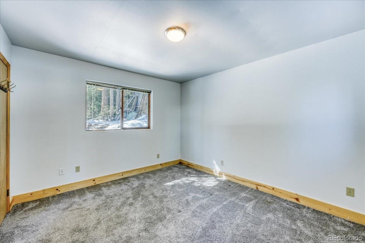 MLS Image #13 for 796  valley of the sun drive,fairplay, Colorado