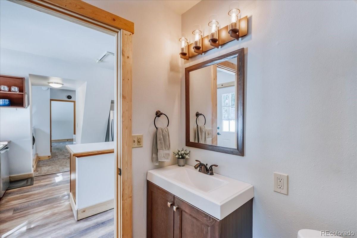 MLS Image #14 for 796  valley of the sun drive,fairplay, Colorado