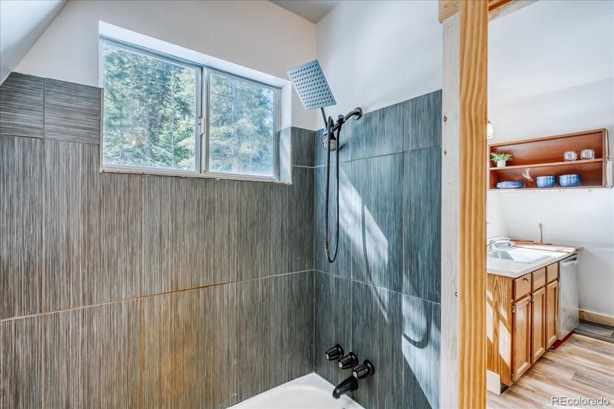 MLS Image #15 for 796  valley of the sun drive,fairplay, Colorado