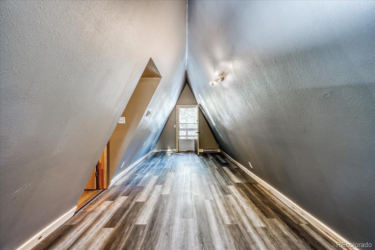 MLS Image #19 for 796  valley of the sun drive,fairplay, Colorado