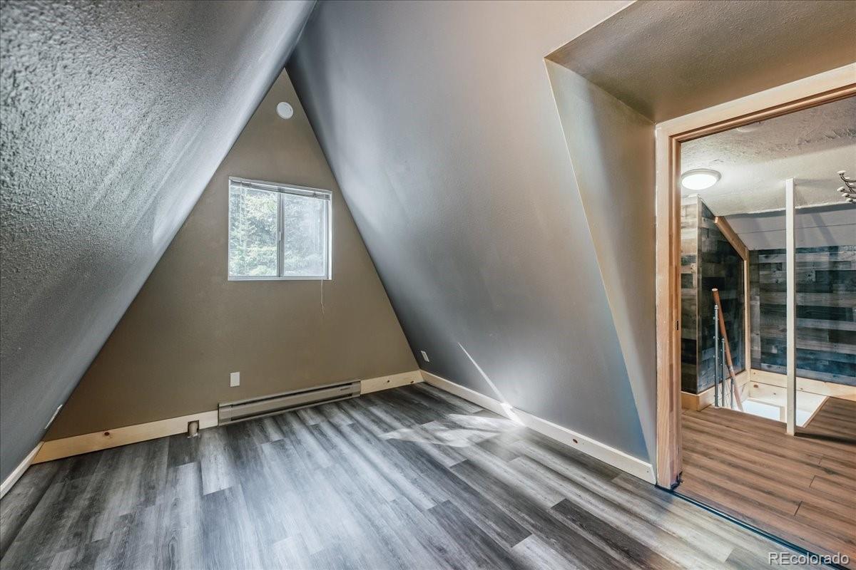 MLS Image #21 for 796  valley of the sun drive,fairplay, Colorado