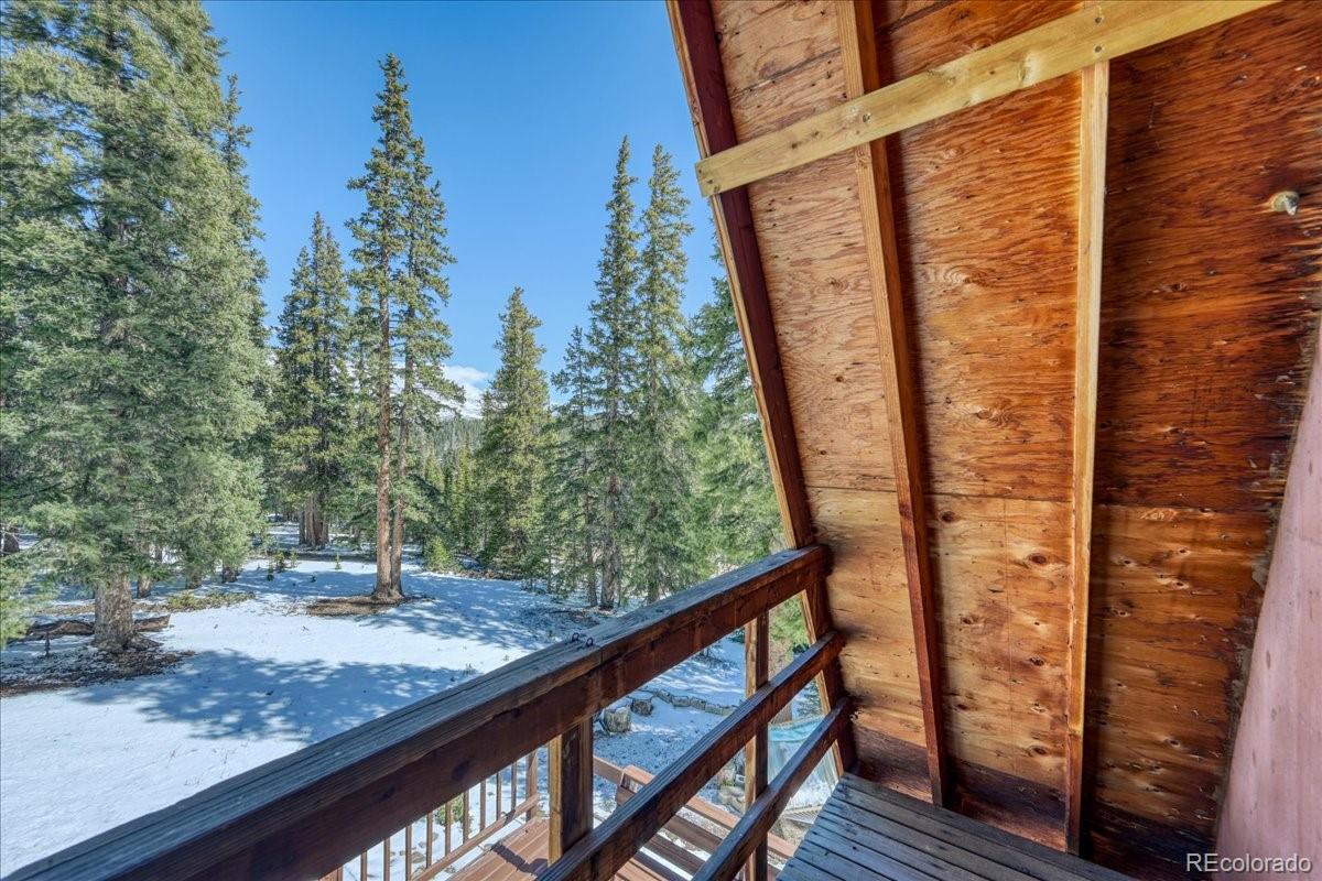 MLS Image #22 for 796  valley of the sun drive,fairplay, Colorado