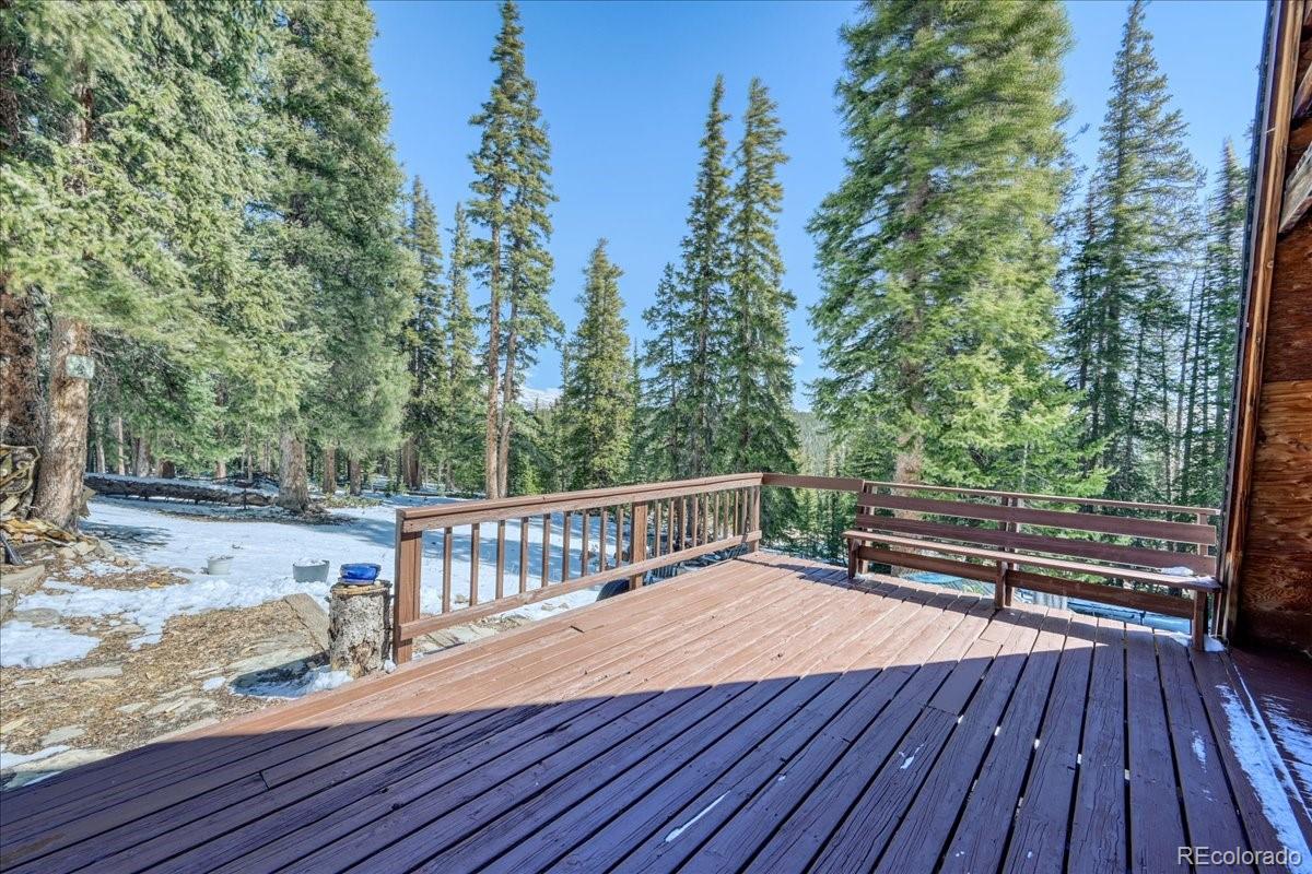 MLS Image #23 for 796  valley of the sun drive,fairplay, Colorado