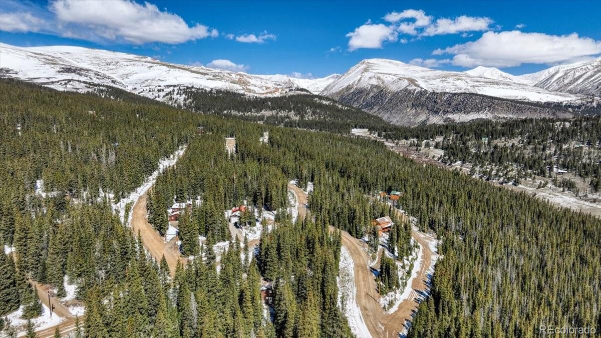 MLS Image #27 for 796  valley of the sun drive,fairplay, Colorado