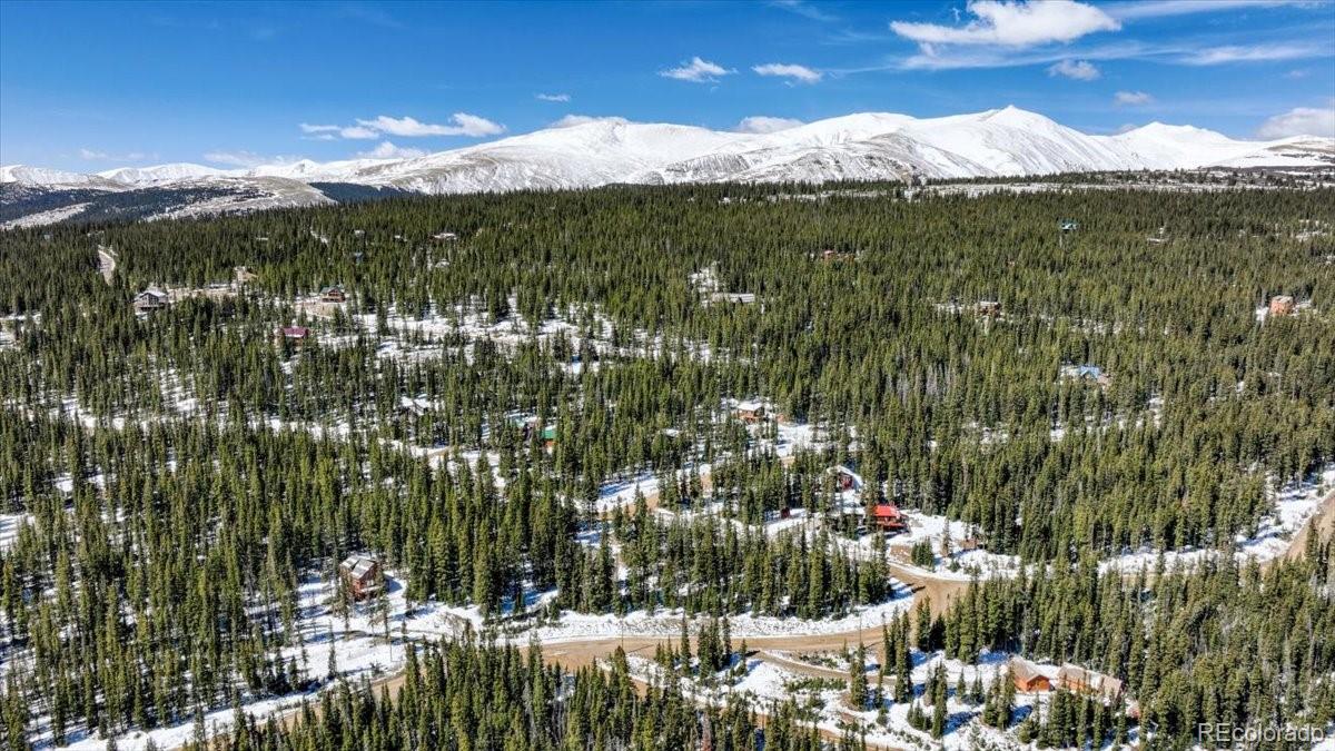 MLS Image #29 for 796  valley of the sun drive,fairplay, Colorado