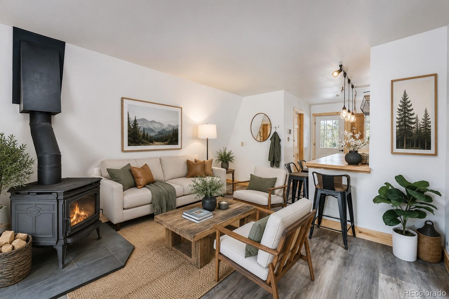 MLS Image #32 for 796  valley of the sun drive,fairplay, Colorado
