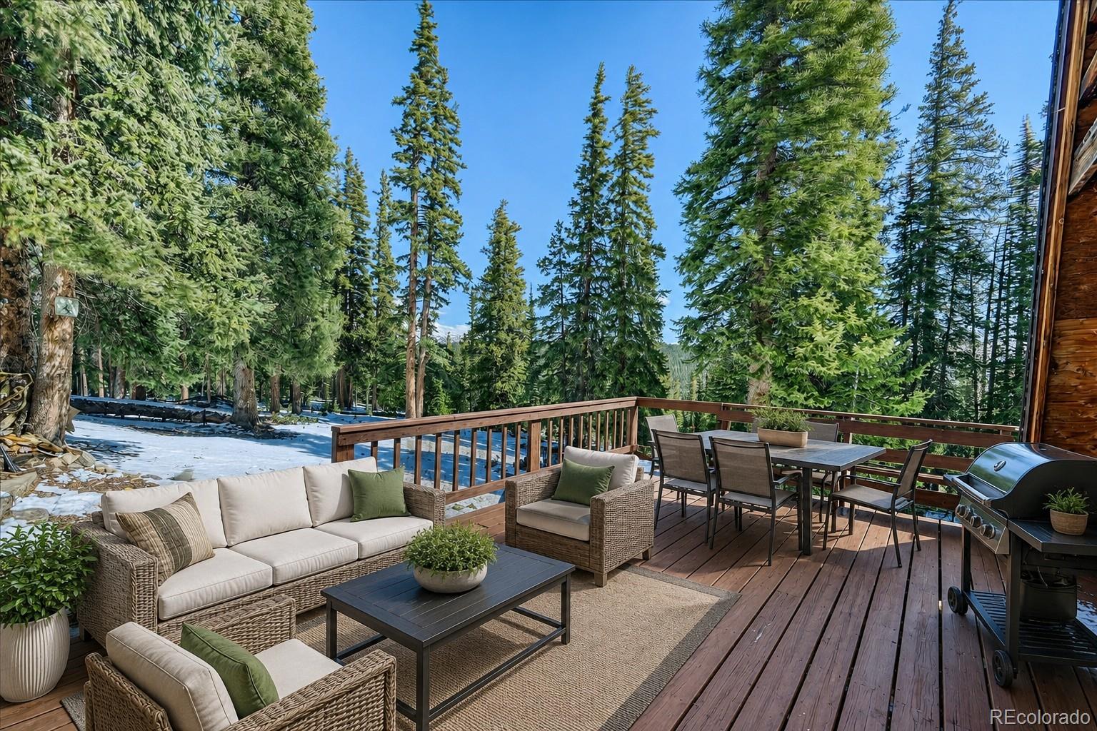 MLS Image #35 for 796  valley of the sun drive,fairplay, Colorado