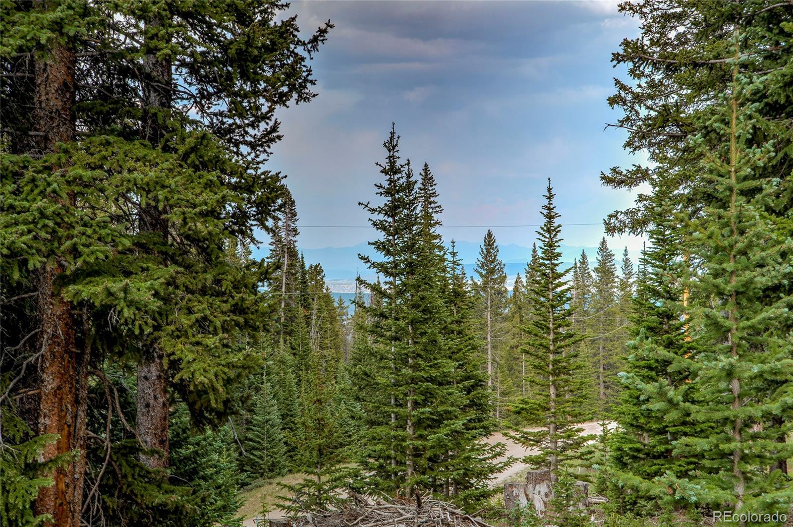 MLS Image #37 for 796  valley of the sun drive,fairplay, Colorado