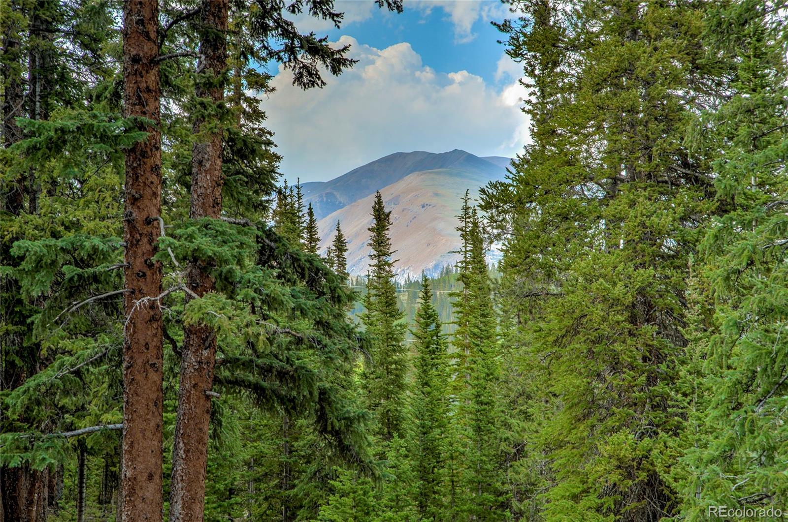 MLS Image #38 for 796  valley of the sun drive,fairplay, Colorado