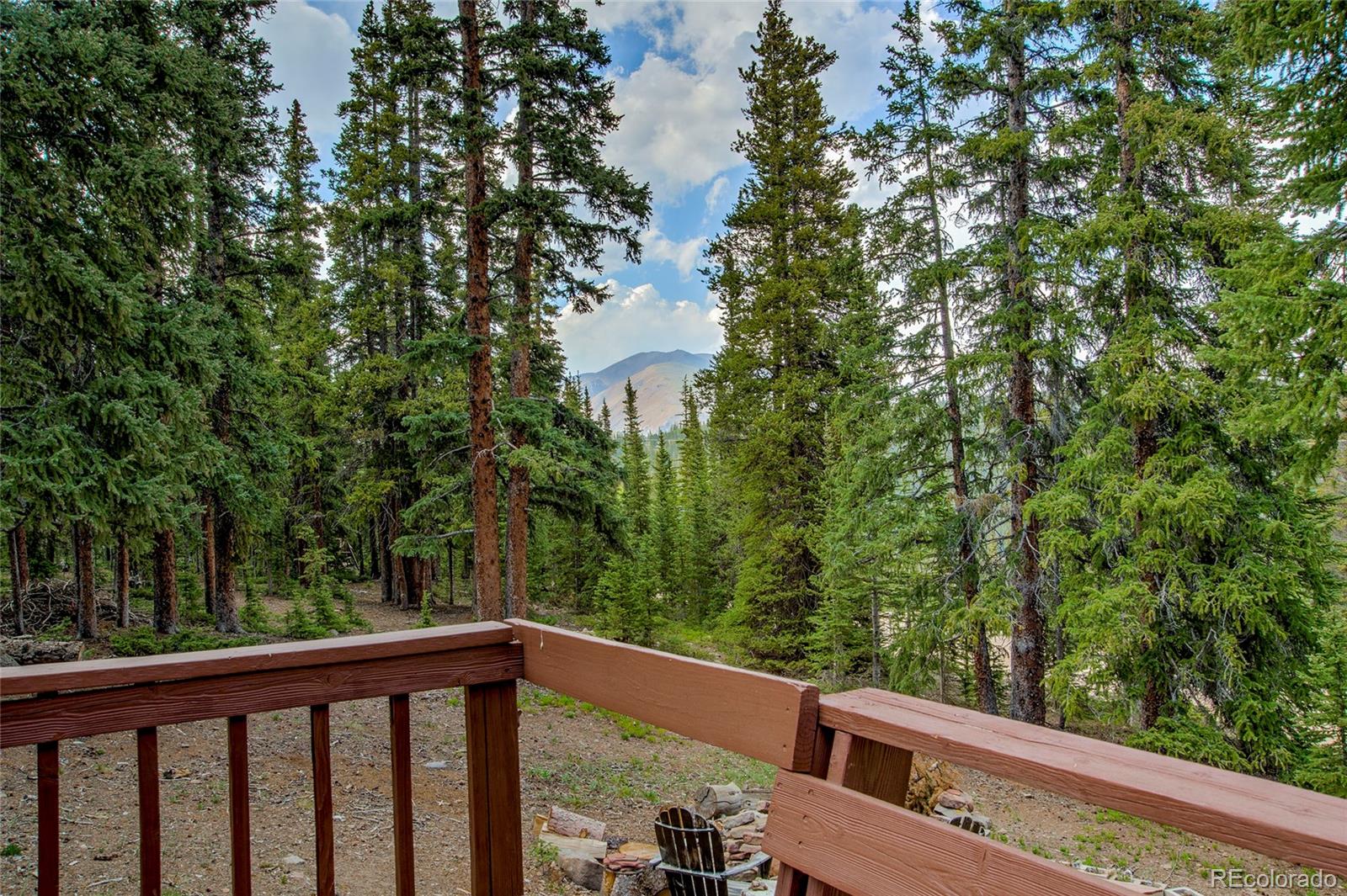 MLS Image #39 for 796  valley of the sun drive,fairplay, Colorado