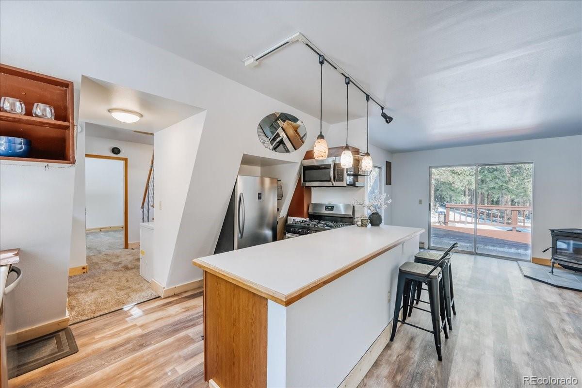 MLS Image #4 for 796  valley of the sun drive,fairplay, Colorado