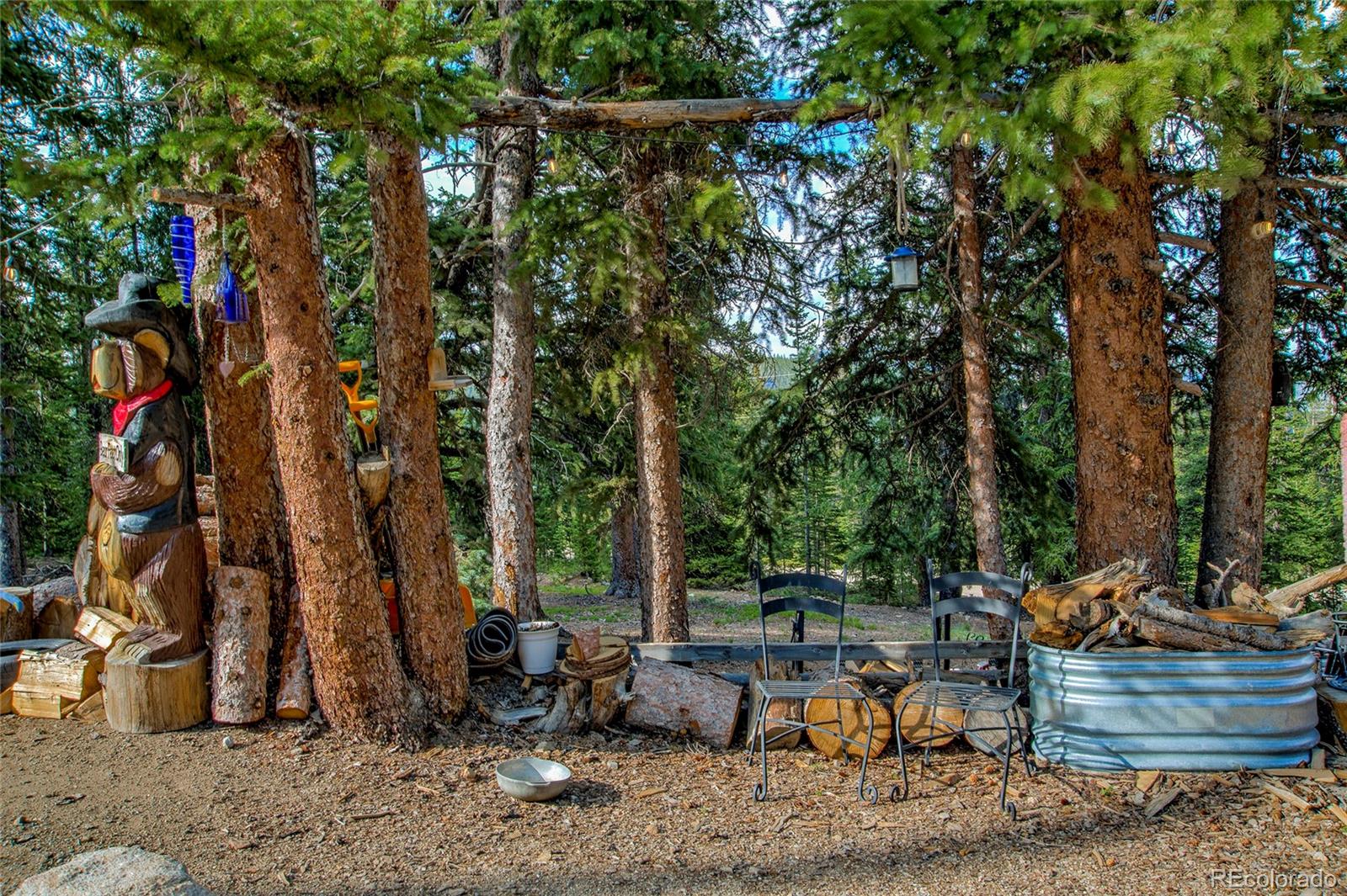MLS Image #42 for 796  valley of the sun drive,fairplay, Colorado