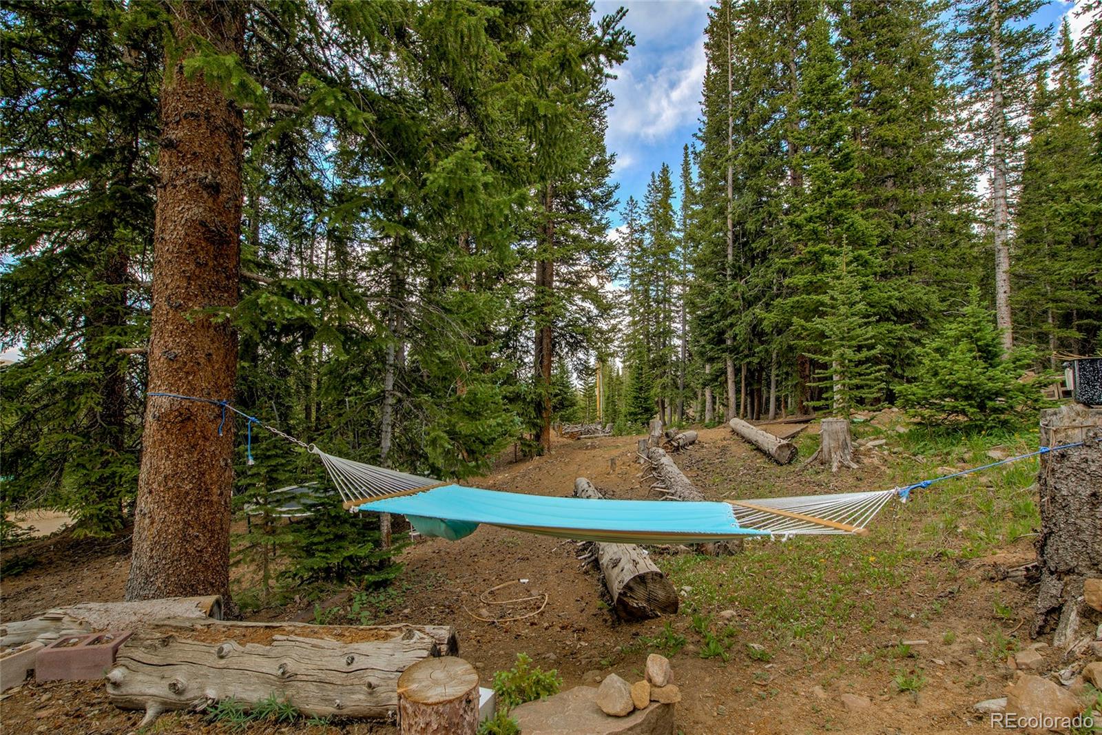 MLS Image #46 for 796  valley of the sun drive,fairplay, Colorado
