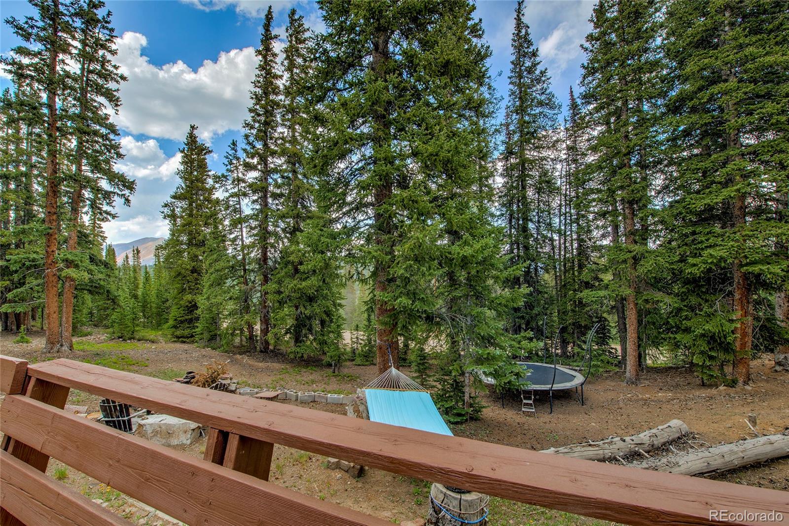MLS Image #48 for 796  valley of the sun drive,fairplay, Colorado