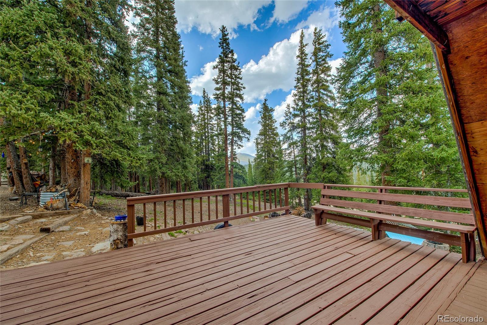 MLS Image #49 for 796  valley of the sun drive,fairplay, Colorado