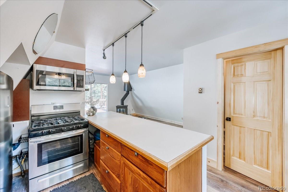 MLS Image #5 for 796  valley of the sun drive,fairplay, Colorado