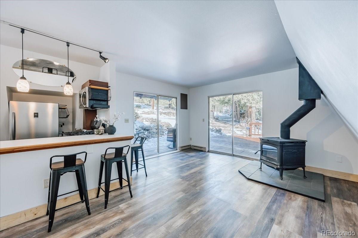 MLS Image #6 for 796  valley of the sun drive,fairplay, Colorado