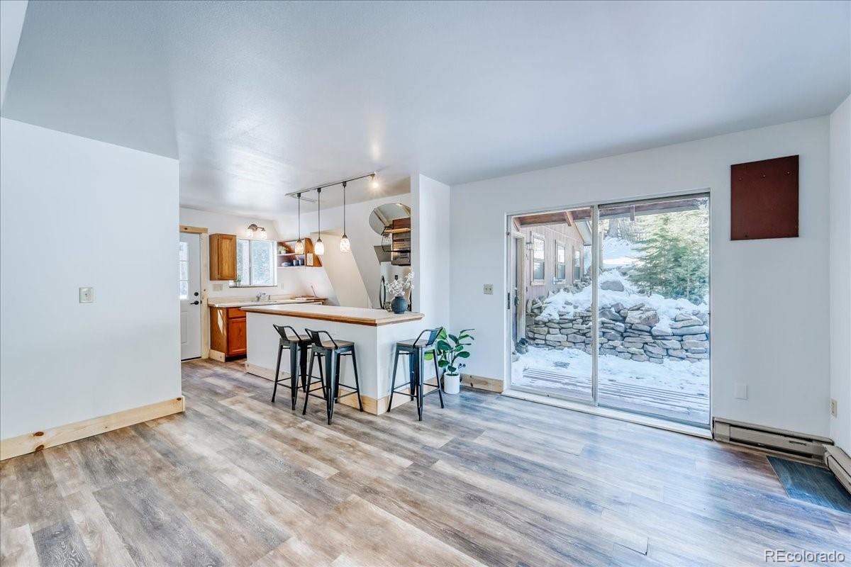 MLS Image #7 for 796  valley of the sun drive,fairplay, Colorado