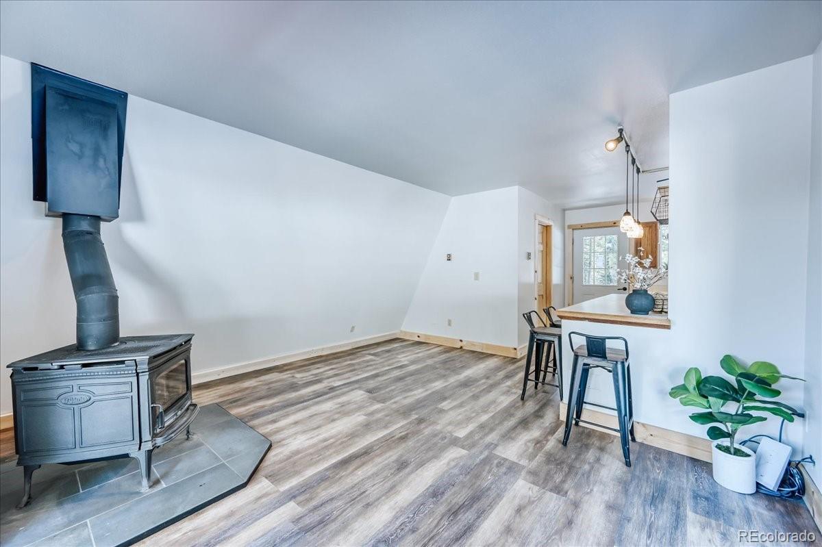 MLS Image #8 for 796  valley of the sun drive,fairplay, Colorado