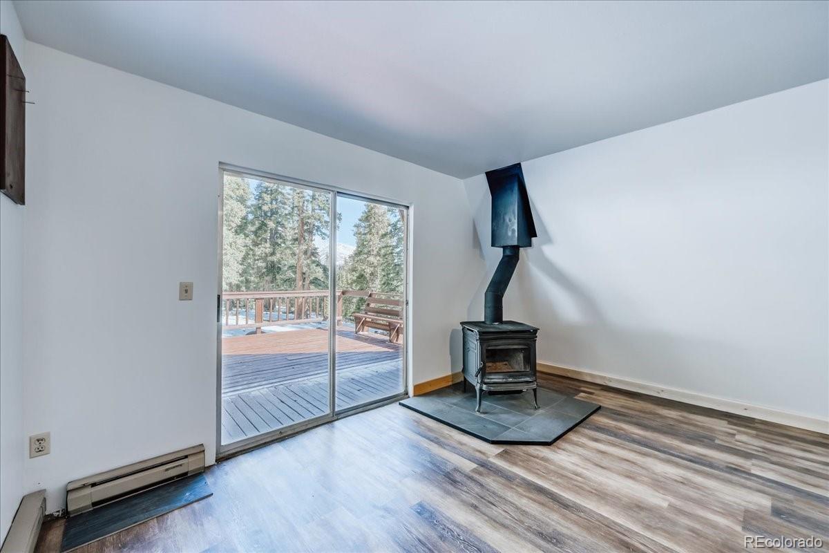 MLS Image #9 for 796  valley of the sun drive,fairplay, Colorado