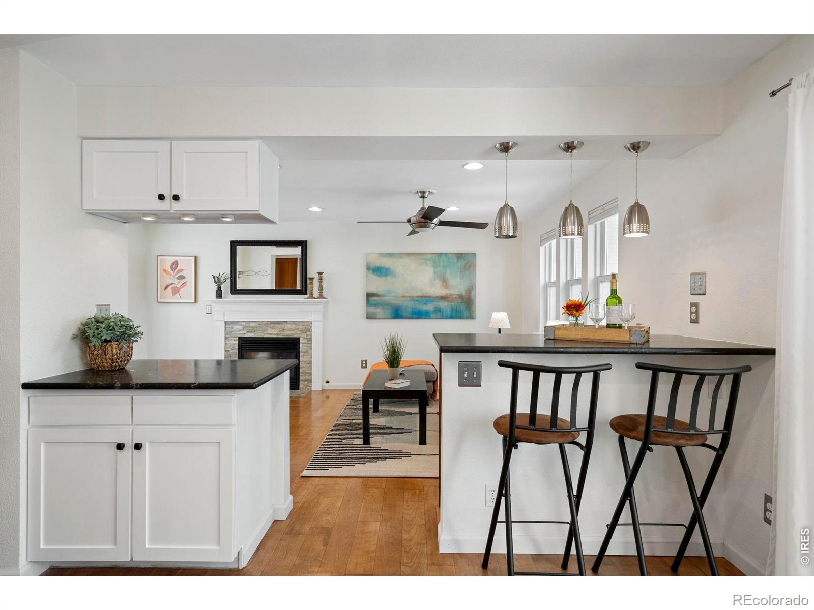 MLS Image #18 for 209 w sycamore lane,louisville, Colorado
