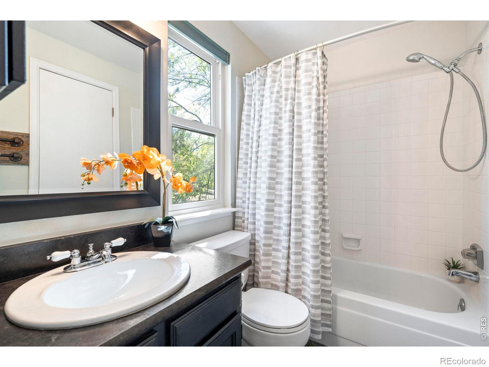 MLS Image #22 for 209 w sycamore lane,louisville, Colorado
