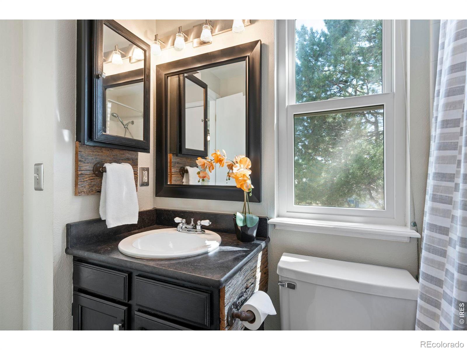 MLS Image #23 for 209 w sycamore lane,louisville, Colorado