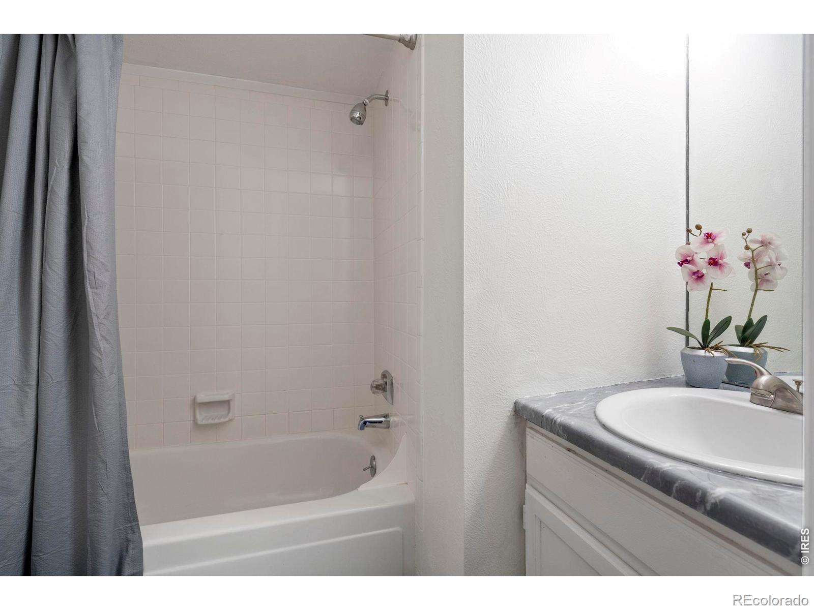 MLS Image #31 for 209 w sycamore lane,louisville, Colorado
