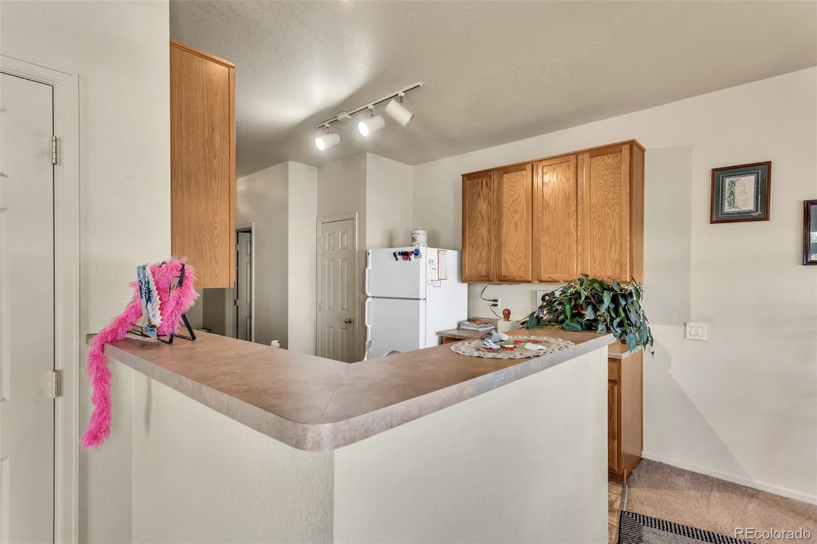 MLS Image #7 for 4786  flower street,wheat ridge, Colorado