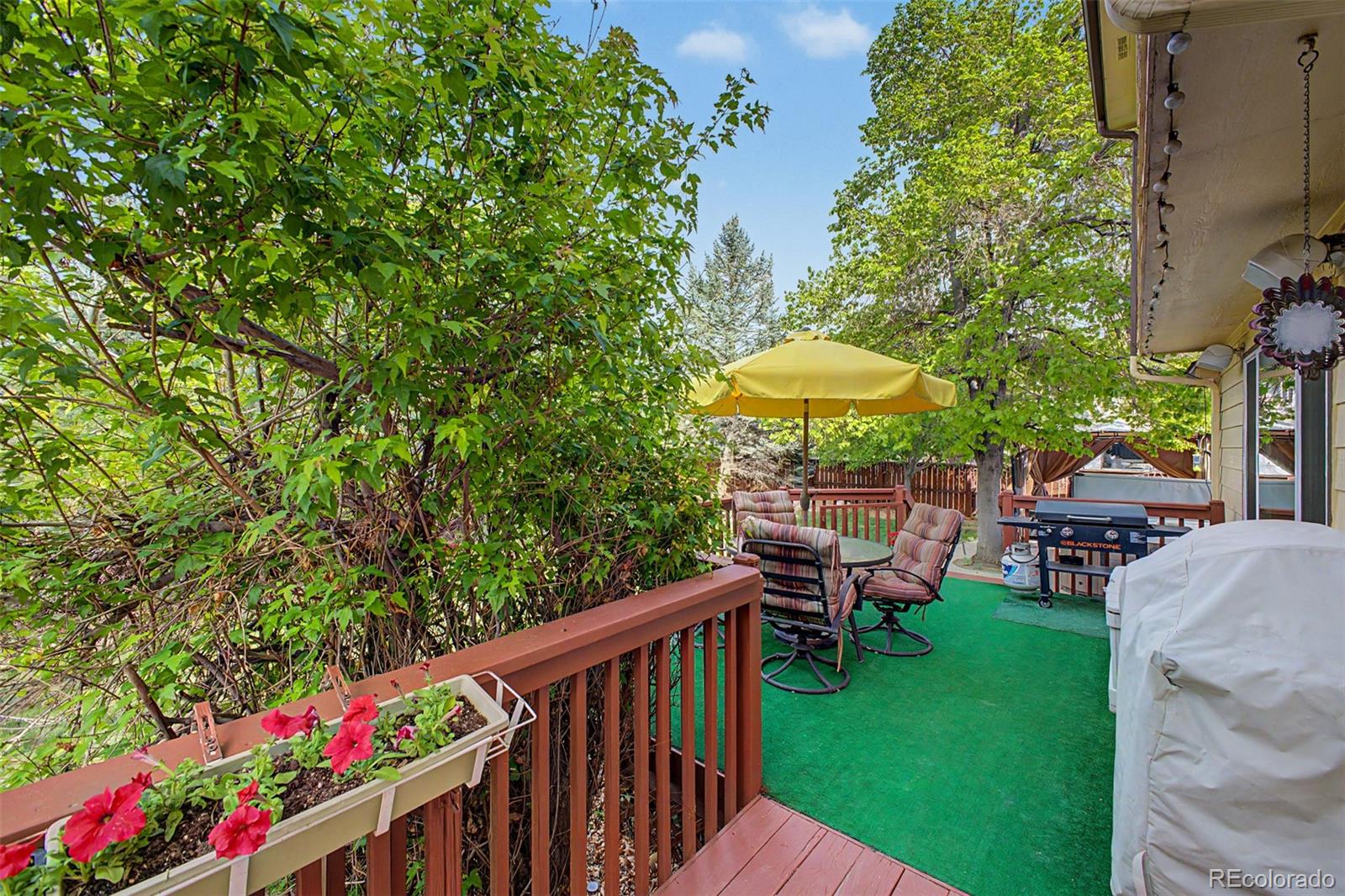 MLS Image #27 for 10015  silver maple road,highlands ranch, Colorado