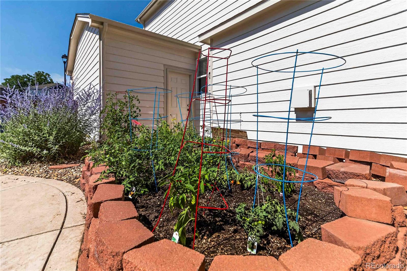 MLS Image #37 for 10015  silver maple road,highlands ranch, Colorado