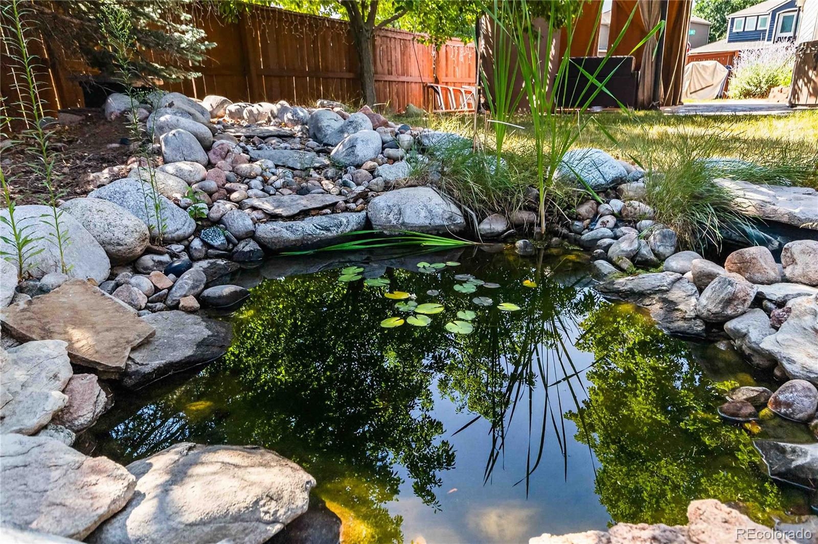 MLS Image #38 for 10015  silver maple road,highlands ranch, Colorado