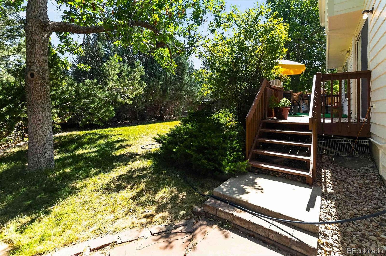 MLS Image #41 for 10015  silver maple road,highlands ranch, Colorado