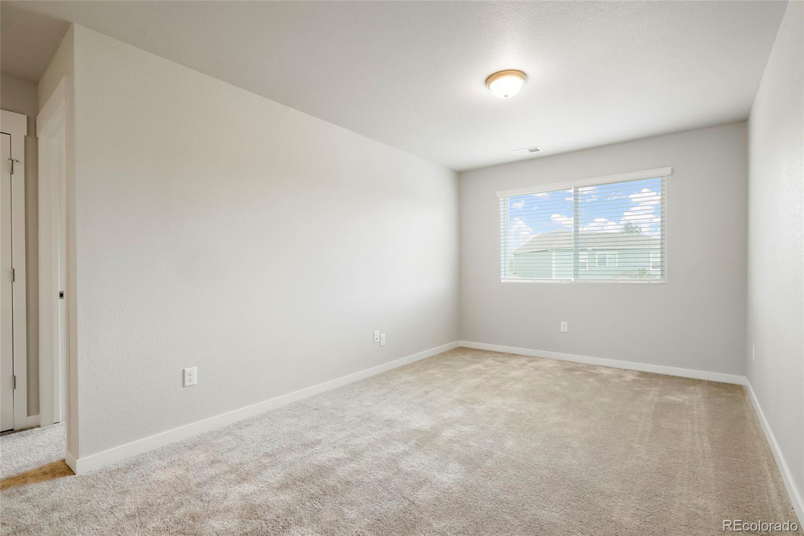 MLS Image #14 for 4413  lyceum court,timnath, Colorado